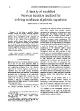 A family of modified Newton iteration method for solving nonlinear algebraic equations
