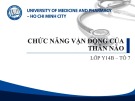 Bài giảng Chức năng vận động của thân não