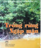  trồng rừng ngập mặn: phần 1