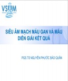 Bài giảng Siêu âm mạch máu và  mẫu diễn giải kết quả - PGS.TS Nguyễn Phước Bảo Quân