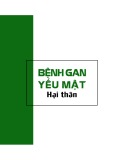  bệnh gan yếu mật hại thận