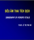 Bài giảng Siêu âm thai tích dịch - TS.BS. Lê Thị Thu Hà