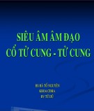 Bài giảng Siêu âm âm đạo cổ tử cung - tử cung