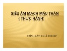 Siêu âm mạch máu thận (Thực hành)