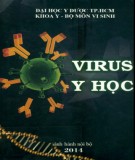  virus y học: phần 2 - Đh y dược tp.hcm