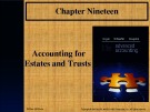 Lecture Advanced accounting (12/e): Chapter 19 - Joe B. Hoyle, Thomas F. Schaefer, Timothy S. Doupnik