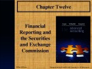 Lecture Advanced accounting (12/e): Chapter 12 - Joe B. Hoyle, Thomas F. Schaefer, Timothy S. Doupnik