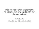 Bài giảng Điều trị tiêu huyết khối đường tĩnh mạch cho bênh nhân đột quỵ cấp như thế nào - TS.Mai Duy Tôn