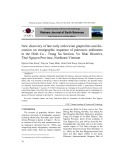 New discovery of late early ordovician graptolites and discussion on stratigraphic sequence of paleozoic sediments in the Dinh Ca - Trang Xa section, Vo Nhai disctrict, Thai Nguyen province, Northeast Vietnam