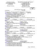 Đề thi thử THPT Quốc gia lần 1 môn Địa lí lớp 12 năm 2018-2019 - THPT Ngô Sĩ Liên - Mã đề 209