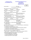 Đề thi thử THPT Quốc gia lần 1 môn Lịch sử lớp 10 năm 2018-2019 - THPT Ngô Sĩ Liên - Mã đề 357