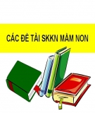 SKKN: Một số biện pháp nâng cao hoạt động nhận biết tập nói cho trẻ 24-26 tháng ở Trường mầm non Đắc Lua