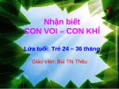 Bài giảng mầm non - Nhận biết con voi, con khỉ