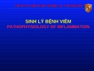 Bài giảng bộ môn Sinh lý bệnh: Sinh lý bệnh viêm (Pathophysiology of inflammation)