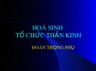 Bài giảng Hoá sinh Tổ chức thần kinh - Đoàn Trọng Phụ