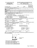 Đề kiểm tra HK1 môn Hóa học lớp 11 năm 2018-2019 - THPT Lương Ngọc Quyến - Mã đề 104