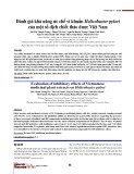 Đánh giá khả năng ức chế vi khuẩn Helicobacter pylori của một số dịch chiết thảo dược Việt Nam