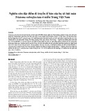 Nghiên cứu đặc điểm di truyền tế bào của bọ xít hút máu Triatoma rubrofasciata ở miền Trung Việt Nam