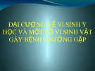 Bài giảng Đại cương về vi sinh y học và một số vi sinh vật gây bệnh thường gặp