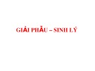 Bài giảng Giải phẫu - sinh lý: Cấu tạo mô và tế bào