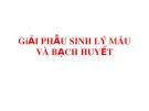 Bài giảng Giải phẫu sinh lý máu và bạch huyết