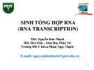 Bài giảng Hóa sinh - Bài: Sinh tổng hợp RNA (RNA transcription)