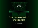 Lecture Business and industrial communication - Chapter 6: The communicative organization