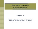 Lecture Business and industrial communication - Chapter 11: Relational challenges