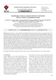 Morphological, chemical, and genetic diversity of wild myrtle (Myrtus communis L.) populations in Sicily