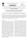 Production of dihaploids in durum wheat using Imperata cylindrica L. mediated chromosome elimination