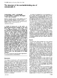 The structure of the saccharide-binding site of concanavalin A