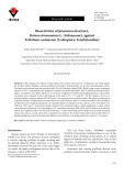 Bioactivities of jimsonweed extract, Datura stramonium L. (Solanaceae), against Tribolium castaneum (Coleoptera: Tenebrionidae)