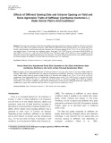 Effects of different sowing date and intrarow spacing on yield and some agronomic traits of safflower (Carthamus tinctorius L.) under harran plain’s arid conditions