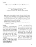 Indirect organogenesis in summer squash (Cucurbita pepo L.)