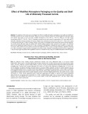 Effect of modified atmosphere packaging on the quality and shelf life of minimally processed carrots