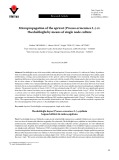 Micropropagation of the apricot (Prunus armeniaca L.) cv. Hacıhaliloğlu by means of single node culture