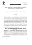 Genetic identification of clones and the genetic structure of seed crops in a Pinus brutia seed orchard