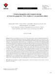 Clonal propagation and cryogenic storage of virus-free grapevine (Vitis vinifera L.) via meristem culture