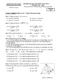 Đề thi học kì 2 môn Toán 11 năm 2017-2018 có đáp án - Trường THPT Lê Quý Đôn - Mã đề 113