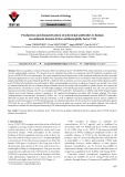 Production and characterization of polyclonal antibodies to human recombinant domain B-free antihemophilic factor VIII