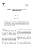 Phosphate solubility and biocontrol activity of Trichoderma harzianum