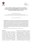 Characterization of affinity tag features of recombinant Tetrahymena thermophila glutathione-S-transferase zeta for Tetrahymena protein expression vectors