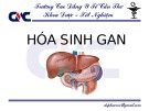 Bài giảng Hóa sinh gan