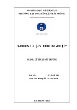 Khóa luận tốt nghiệp: Môi trường biển và ven biển hải phòng thực trạng và đề xuất giải pháp