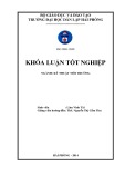 Khóa luận tốt nghiệp: Tìm hiểu hiện trạng môi trường khu vực cảng Hải Phòng