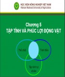 Bài giảng Nhập môn chăn nuôi - Chương 5: Tập tính và phúc lợi động vật