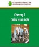 Bài giảng Nhập môn chăn nuôi - Chương 6: Chăn nuôi lợn