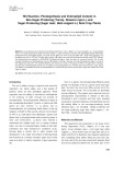 Hill reaction, photosynthesis and chlorophyll content in non sugar producing (Turnip, Brassica rapa l.) and sugar producing (Sugar beet, Beta vulgaris L.) root crop plants