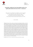 Antioxidant, antibacterial, and anticandidal activities of an aquatic plant: duckweed (Lemna minor L. Lemnaceae)