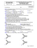 Đề thi thử THPT Quốc gia môn Sinh học năm 2019 lần 1 - Sở GD&ĐT Nghệ An - Mã đề 222